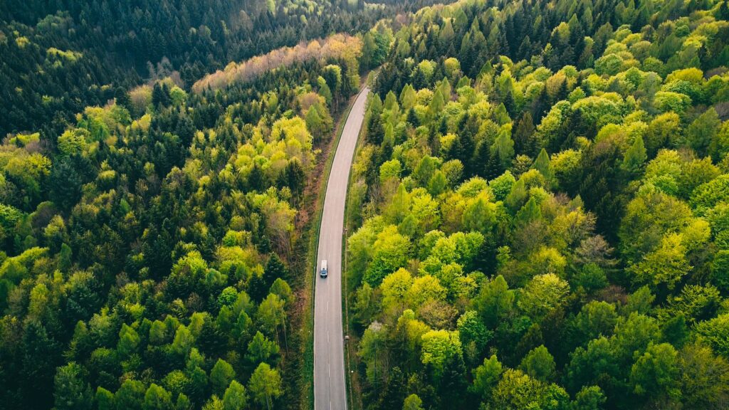 Vue aérienne d'une route en forêt — Vert Assur, l'assurance qui s'engage pour la planète